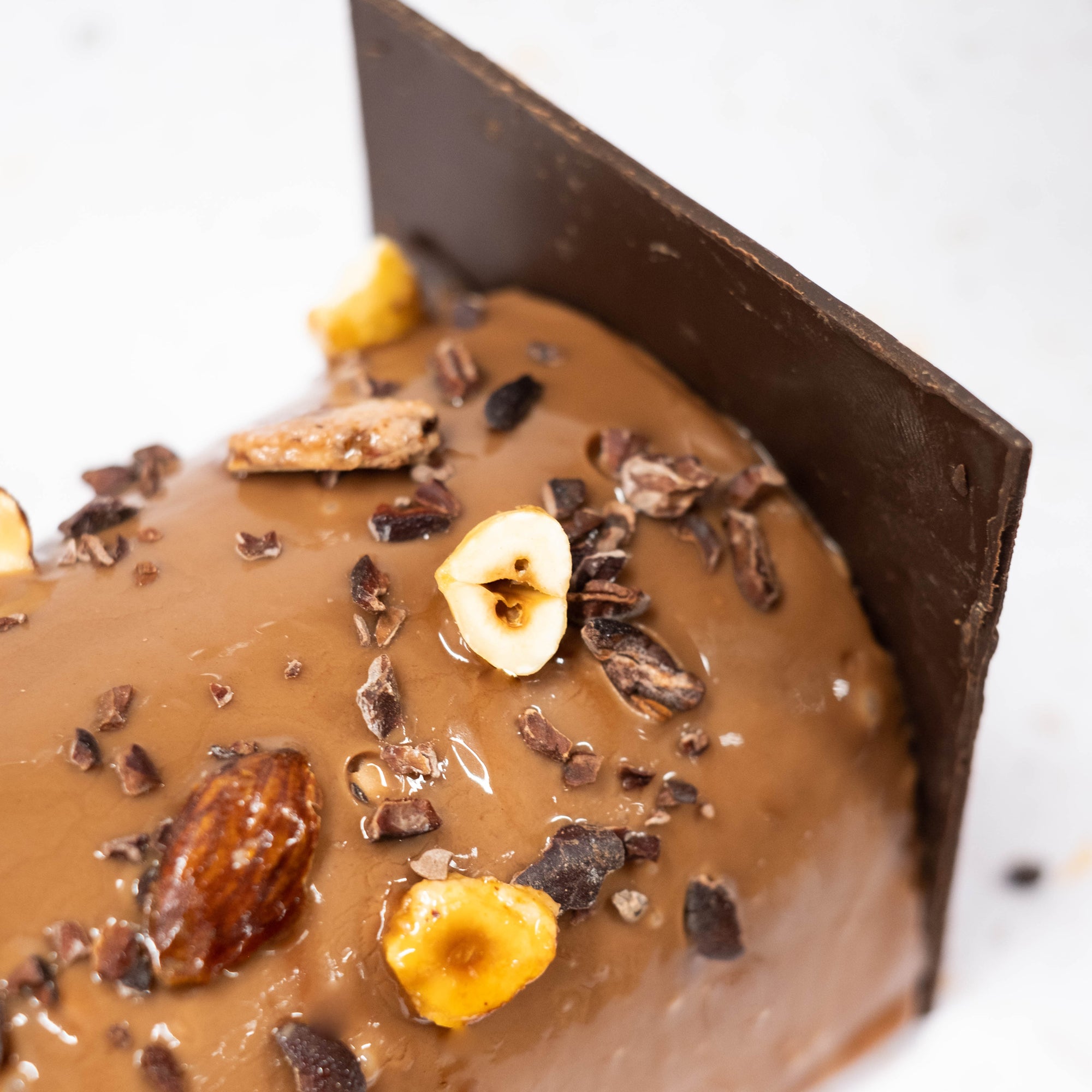 Bûche Chocolat Praliné